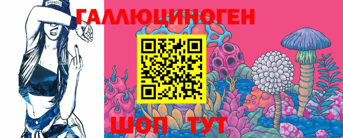 Черняховск  Псилоцибиновые грибы GOLDEN TEACHER  где можно купить наркотик  Вход с VPN 