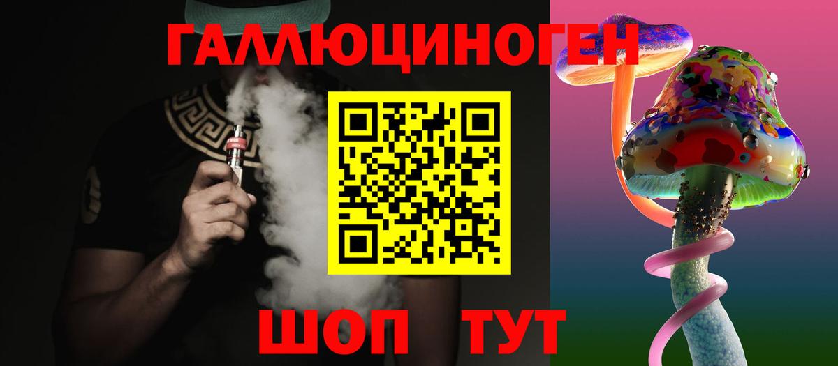 Галлюциногенные грибы Psilocybe Черняховск